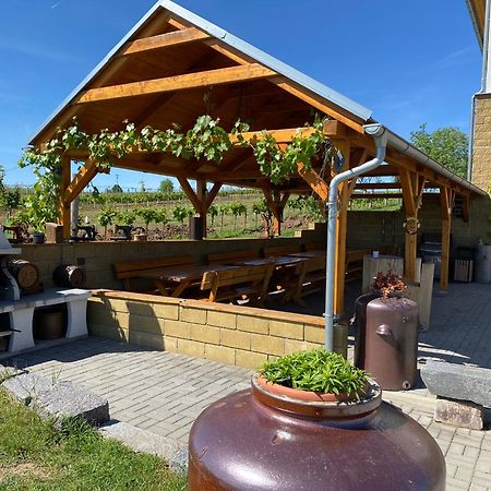 Hotel Vinarstvi & Penzion Knapek Strachotin Exteriér fotografie